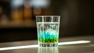 Cafes Are Serving Hydration, Focus And Gut Claims