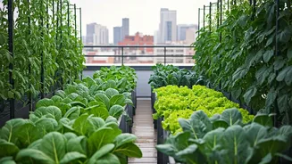 Get Paid To Garden: States Offer Subsidies For Rooftop Terrace Farming