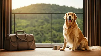 Pet-Friendly Travel Has Entered India's Mainstream