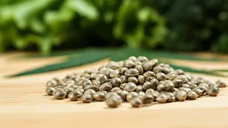 Unlock Vegetarian Protein: A Guide to Boosting Your Diet with Hemp Seeds