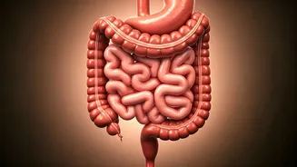 8 Simple Daily Habits to Revolutionize Your Gut Health: A Doctor's Guide