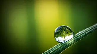 Aries Daily Guidance: March 16, 2026 - Mindful Moments for Wise Choices