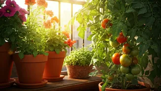 Your Balcony Garden Will Thank You For This
