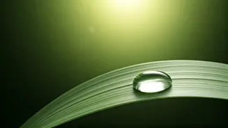 The New Glow Trend Starts With Stronger Skin