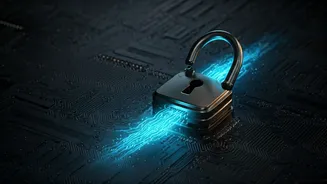 Fortifying Digital Defenses: Understanding Website Security Verification Processes