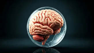 Unhealthy Habits: Damaging the Brain Silently