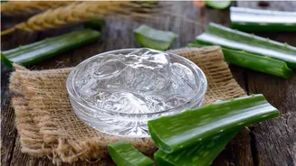 Why aloe vera is considered the elixir for skin problems