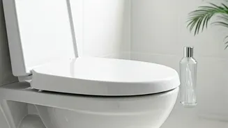 Taming Bathroom Odors: A Practical Guide