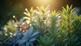 Climate-Friendly Gardening Is Catching On