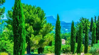 Greece's Ancient Walking Trails In Context: Ancient Paths With Mediterranean Views