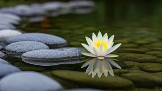 Aquarius: Patience and Relationships on January 28, 2026