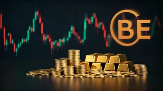 BSE Sees Shocking Surge in Trading Volume