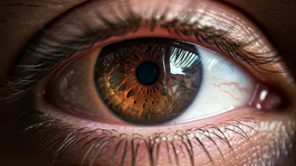 Understanding High-Altitude Retinopathy: Vision Loss Explained