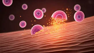 Unusual Signs Your Body Is Shedding Fat: Expert Insights and Cautions