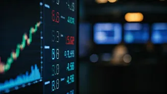 Investment Insights: Market Tools & Fund Strategies