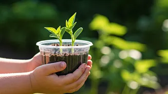 Grow a Summer of Fun: A Hands-On Bean Garden for Kids