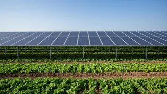 How Farmers and Policymakers Can Use Crop Shade for Agrivoltaics Assessment after India's Agrivoltaics Push