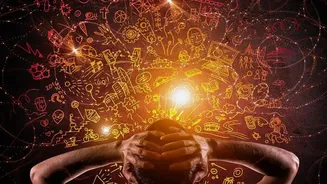 The Brain Activity Angle In The New Memory Research Story