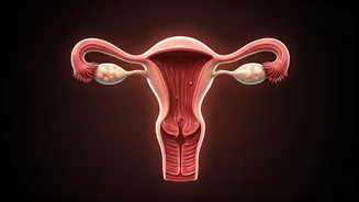 Gynaecologist Recommends 7 Hormone Supplements