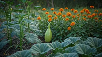 Monsoon Gardening Ideas Trend