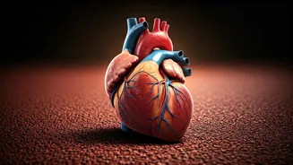 Daily Running Can Affect Your Heart Health?