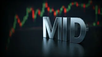 Decoding Mid-Cap Market Leaders: Top Performers