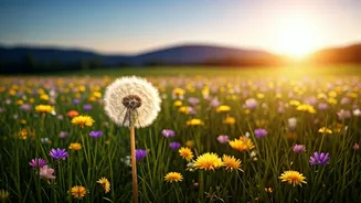 Albert Schweitzer's Wisdom: Happiness is the True Key to Success for Kids