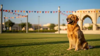 Jaipur's New Mega Pet Carnival Brings Vaccination Support into Civic Pet-Service Planning