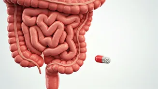 10 Ways Antibiotics Harm Your Gut: A Gastroenterologist's Insights