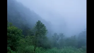 Cold Alert For Bengaluru: IMD Warns Of Severe Chill Across Interior Karnataka