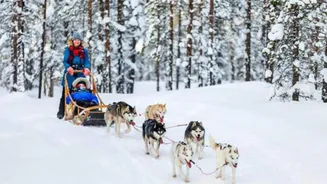 Adventure travel in Greenland: Top things to do