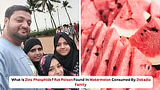 Mumbai Pydhonie Watermelon Death Mystery: What Is Zinc Phosphide? Know Symptoms Of The Deadly Poison