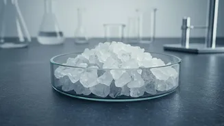 Scientists Study Microplastics In Everyday Foods As Health Questions Continue