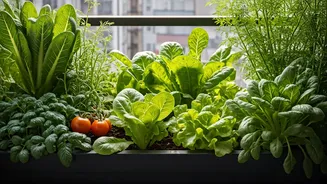 Balcony Gardens Are Making Salads Look Seriously Cool