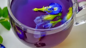 Cold-Brewed Botanical Infusions Offer Crisp Herbaceous Notes For Afternoon Urban Tea Lovers