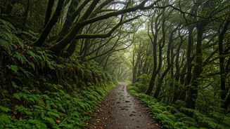 Explore Stunning Lesser Known Rain Trails In Misty Kudremukh Forests