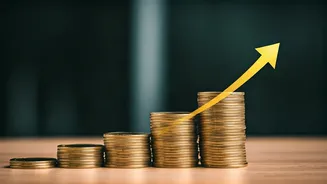 PNB Q3 Results: Profit Surge & Financial Insights