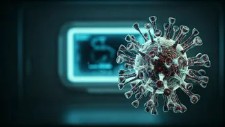 Ebola Alert: Expert Urges Calm for India Amid Congo Outbreak, Highlights Surveillance