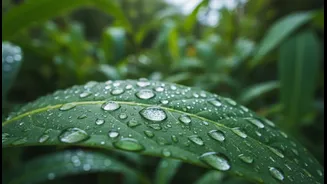 Humidity And Skincare: What You Should Know