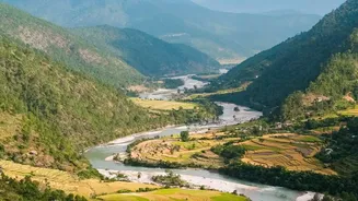 India's Three Growing Seasons: Kharif Timing, Rabi Timing and Zaid Timing Define Seasonal Garden Planning