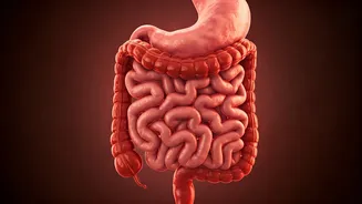 Gut Health Gets Serious When The Rains Arrive