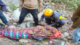 Uttarakhand: Three pilgrims killed, five injured as Scorpio falls into ditch near Kainchi Dham