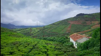 6 Best Holiday Destination In Far South