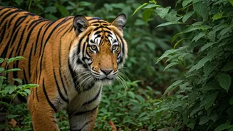 Good Friday Getaway: Top 5 Indian National Parks Near Delhi for Thrilling Wildlife Adventures