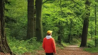 Five Mindful Walking Benefits That Go Beyond Step Counts
