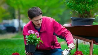 Urban Garden Lovers Are Falling For Native Species