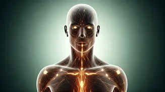 Mind-Body Harmony: Doctors Unravel the Crucial Link for Total Well-being