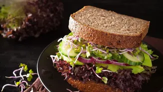 Pairing whole grains with legumes delivers complete amino acid profiles for vegetarian repair