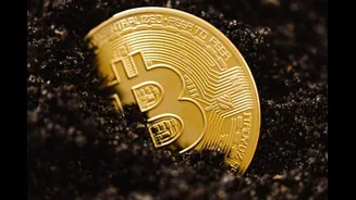 ITR Filing 2026: Bitcoin In Your Portfolio? Don't Miss These Key Tax Disclosures