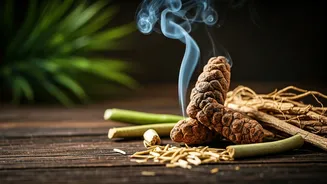 Artisan Vetiver And Cedarwood Cones Purify Heavy Humid Air